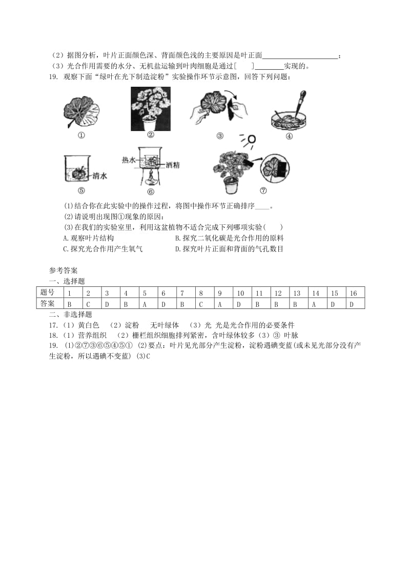 [精选类]七年级生物上册《绿色植物是有机物的生产者》同步练习1 苏科版.doc_第3页