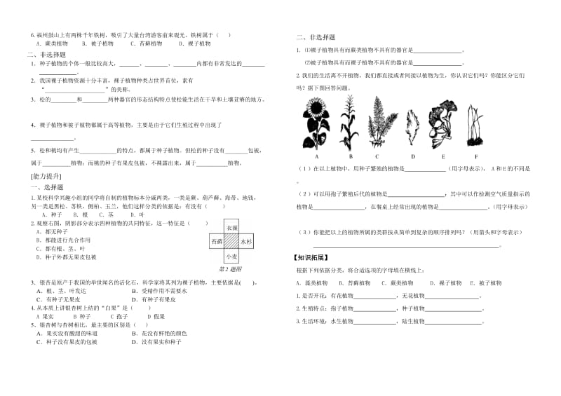 [精选类]七年级生物上册 第一节 绿色植物的主要类群（二）学案 济南版.doc_第2页