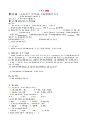 [精选类]四川省青神县初级中学校八年级生物上册 5.4.3 真菌导学案（无答案）（新版）新人教版.doc