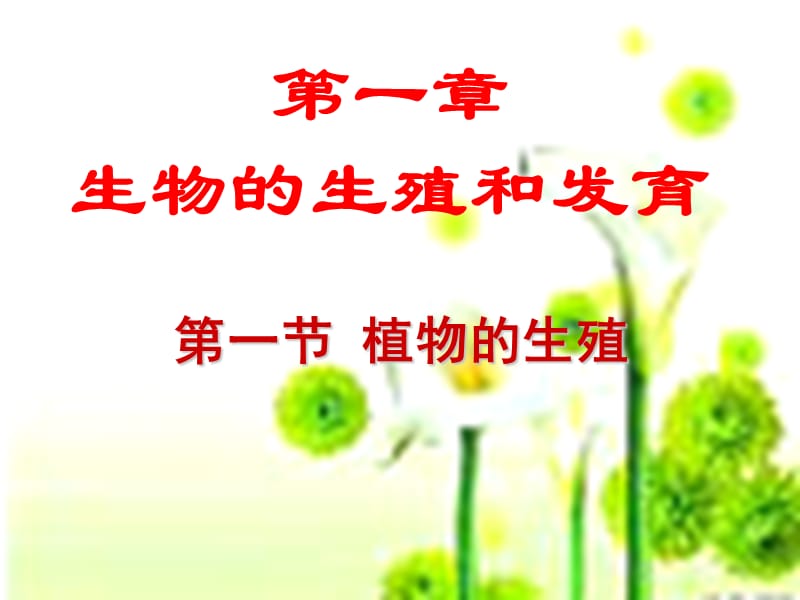 1-1植物的生殖.ppt_第2页