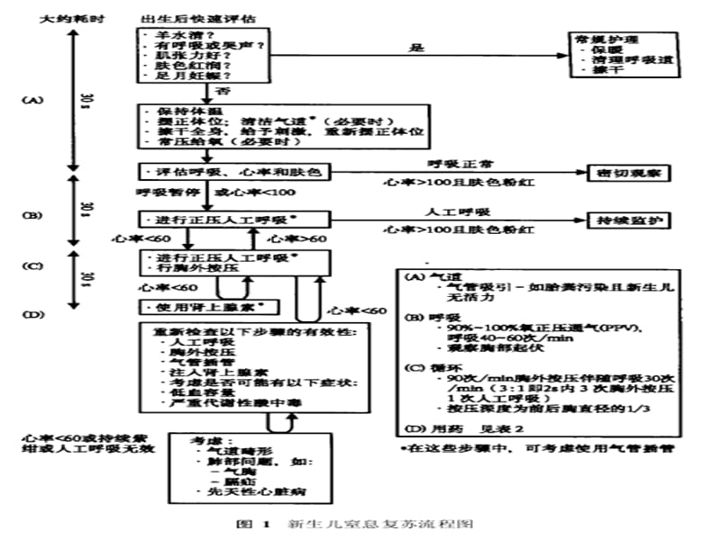 新生儿专业复苏技术PPT课件.ppt_第2页