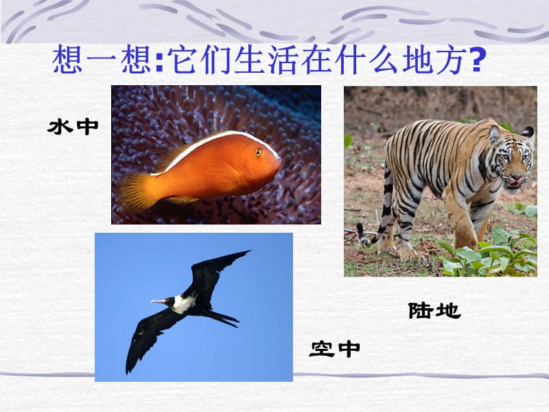 1-1艳丽多姿的生物.ppt_第2页