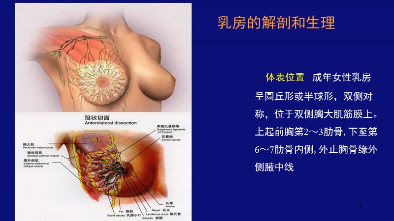 乳腺疾病PPT课件.ppt_第3页