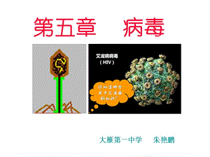 2013年人教版八年级生物上册第五章《病毒》.ppt