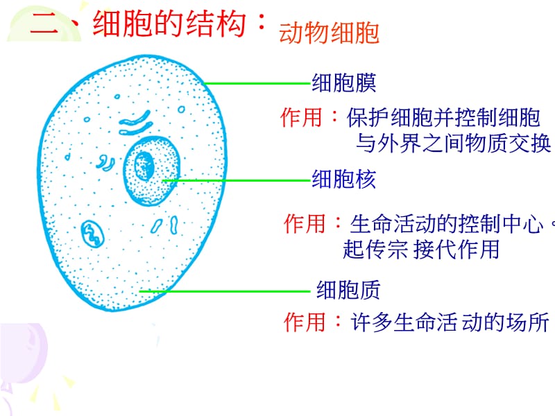 第4-5课时22显微镜的结构和使用.ppt_第2页