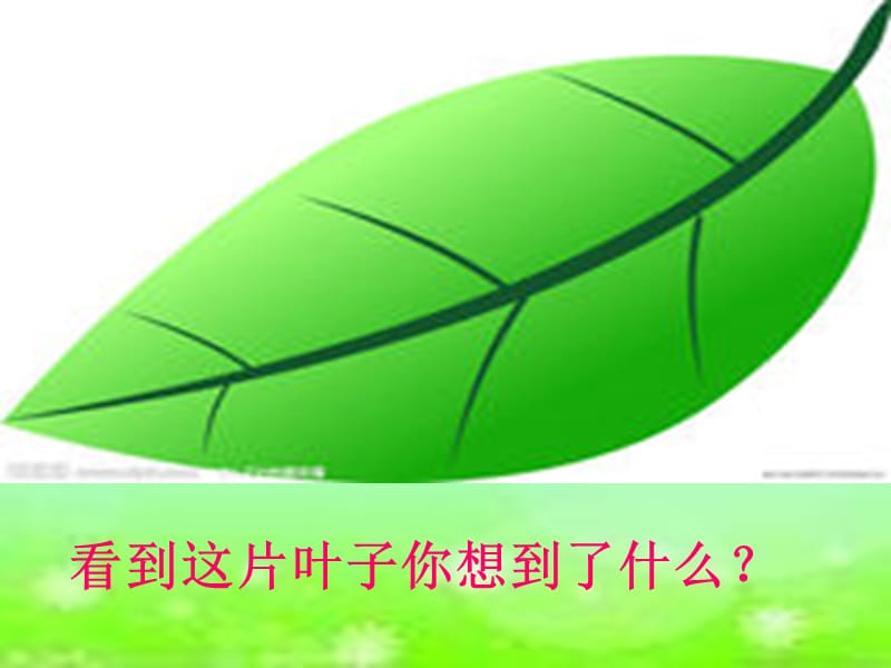 绘本--一片叶子落下来.ppt_第1页