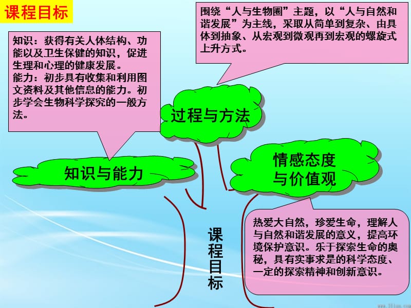 七年级下册生物知识树PPT课件.ppt_第3页