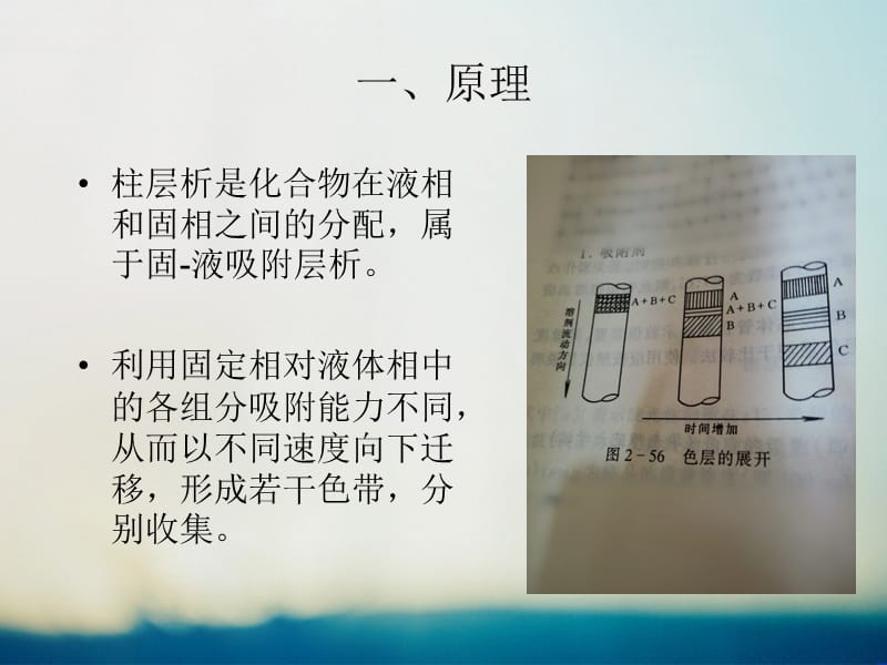 柱层析法的原理和方法.ppt_第2页