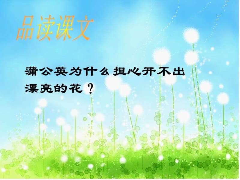 《蒲公英的梦》课件.ppt_第3页