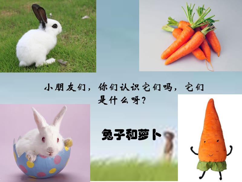 《大萝卜》（幼儿园中班PPT课件）.ppt_第1页