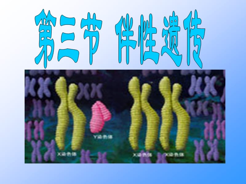 高一生物必修2 伴性遗传 ppt.ppt_第1页