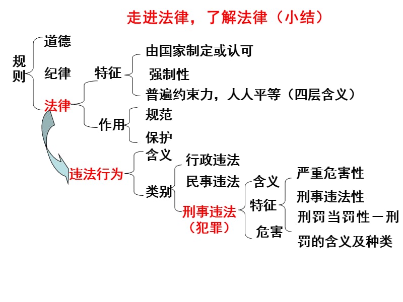 专题二知识梳理.ppt_第1页