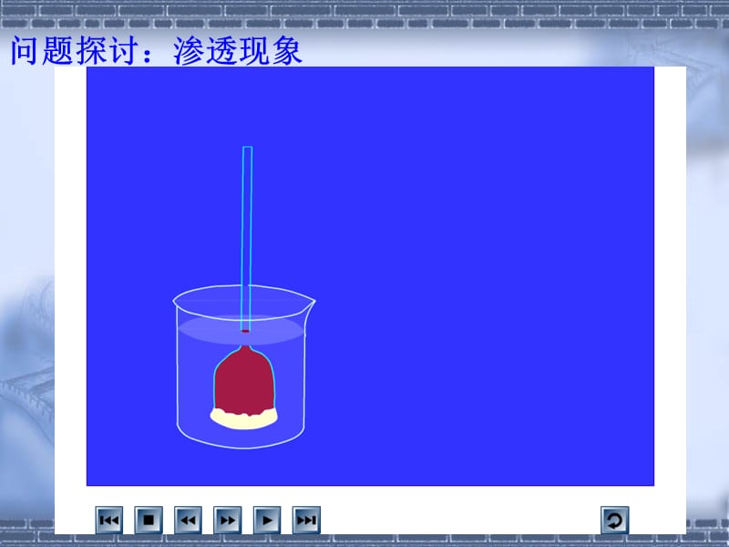 141物质跨膜运输实例.ppt_第3页