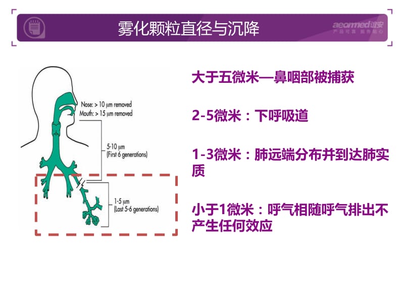 雾化器培训PPT.ppt_第3页