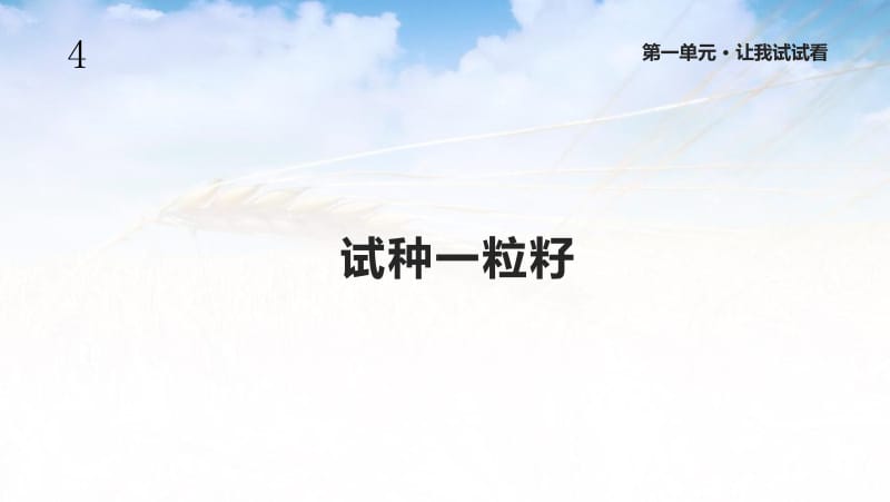 部编人教版道德与法治二年级下册《试种一粒籽》课件.ppt_第1页