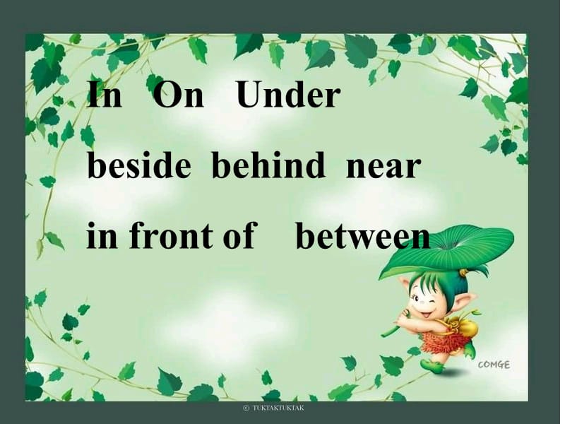 in_on_understory.ppt_第1页