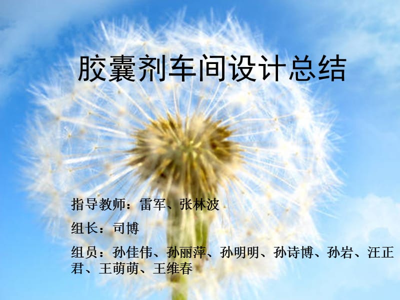 胶囊剂车间设计总结ppt.ppt_第1页