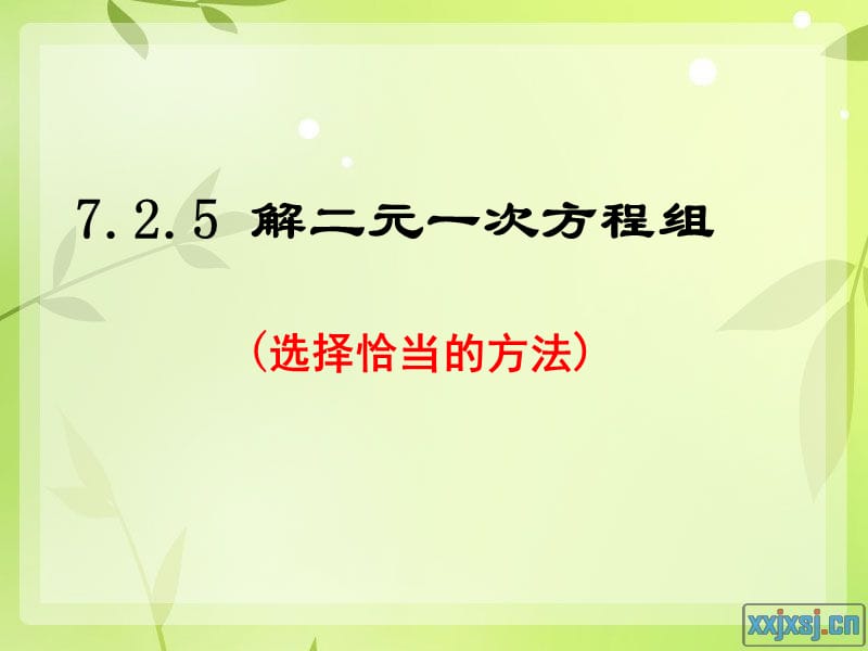 选择恰当的方法解二元一次方程组.ppt_第1页