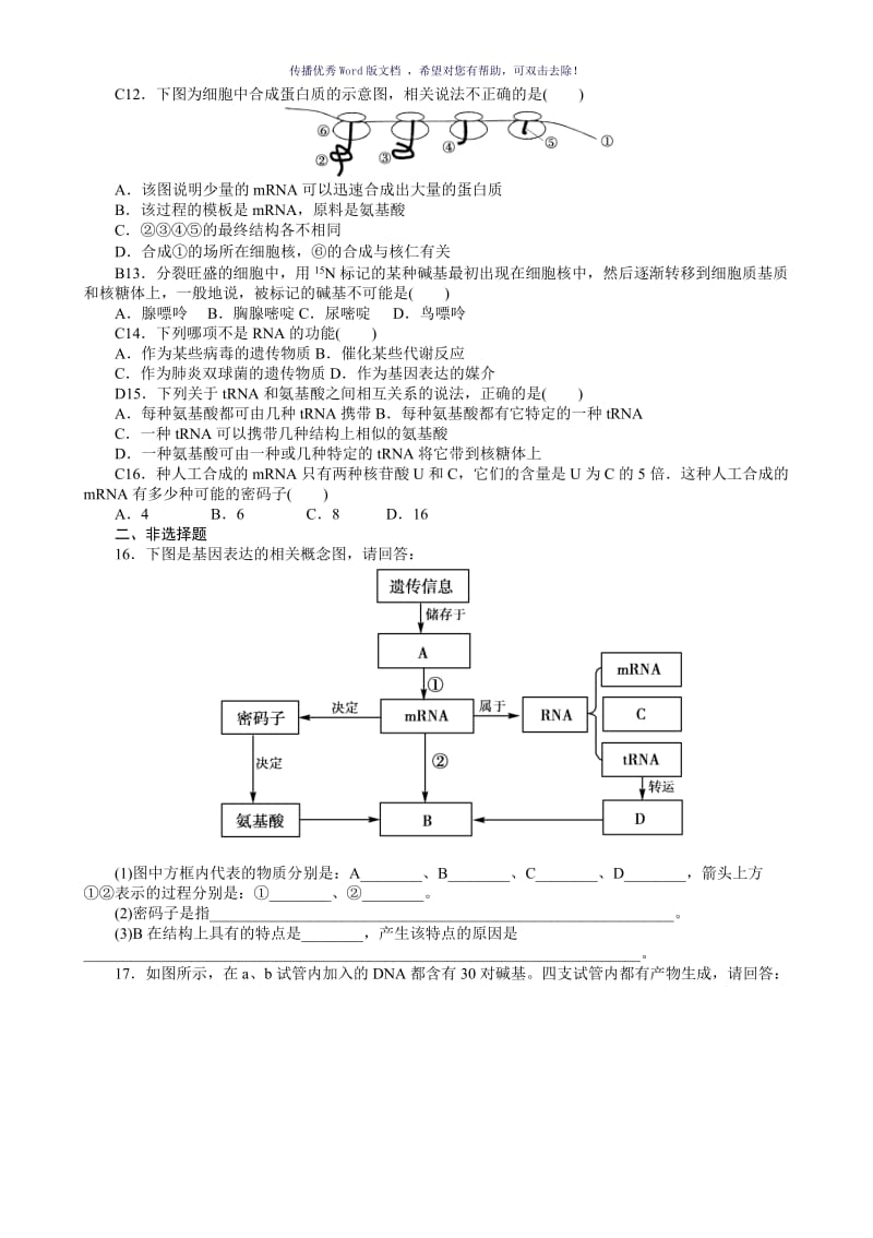 转录翻译试题Word版.doc_第3页