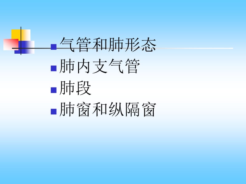 肺分叶分段.ppt_第2页