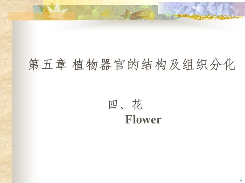 实验花的构造PPT课件.ppt_第1页