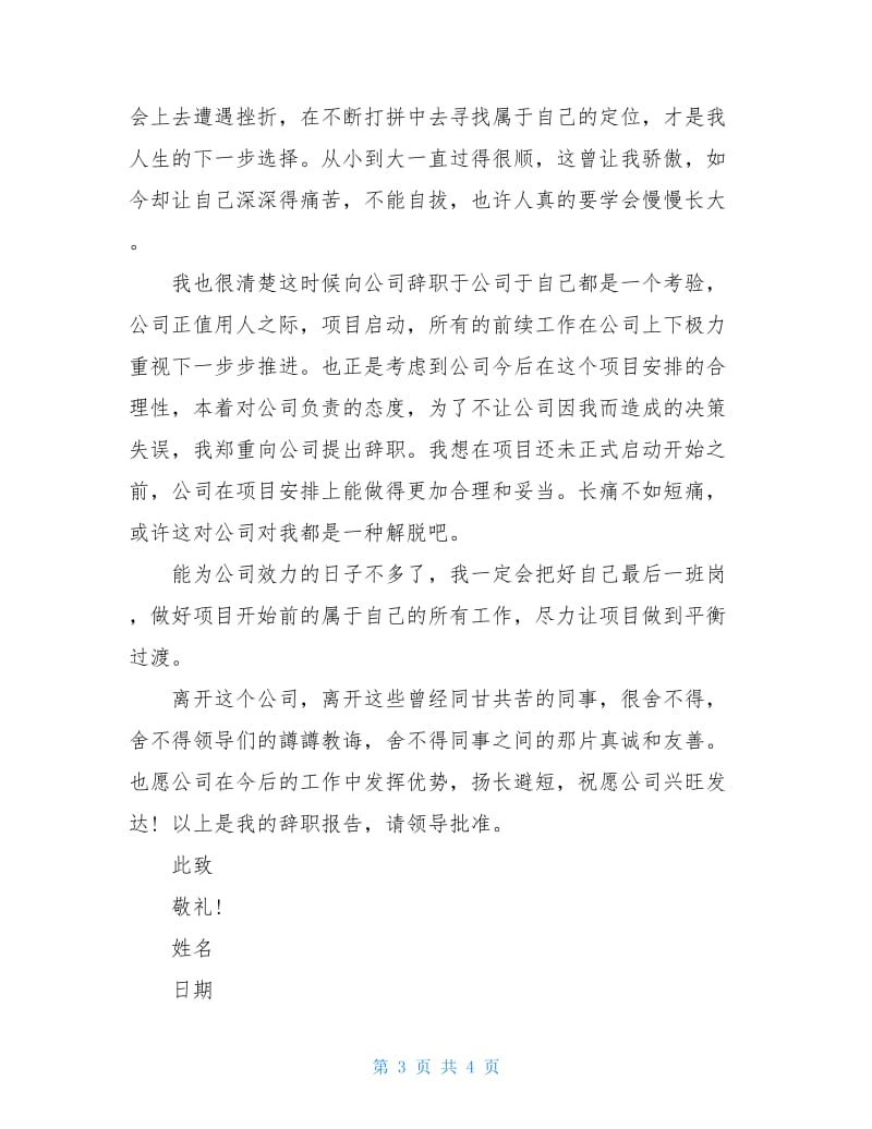 有关财务员工辞职报告.doc_第3页