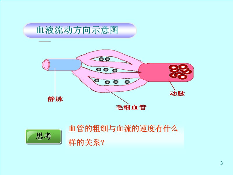 血流的管道-血管(完整版)(课堂PPT).ppt_第3页