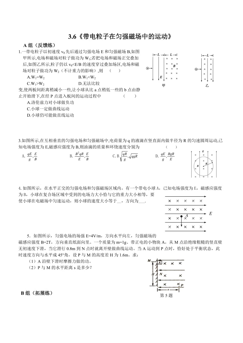 《带电粒子在匀强磁场中的运动》.doc_第1页