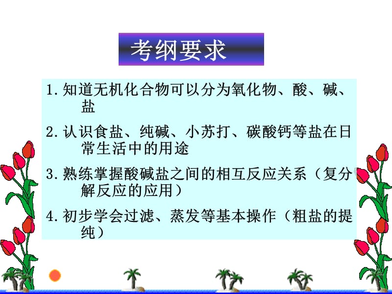 盐的复习课课件.ppt_第2页