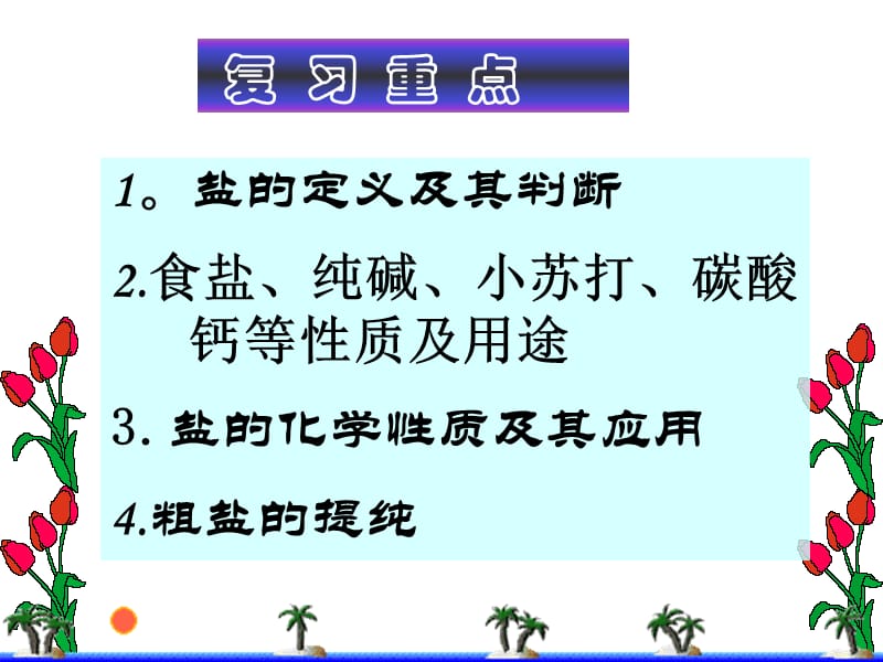 盐的复习课课件.ppt_第3页