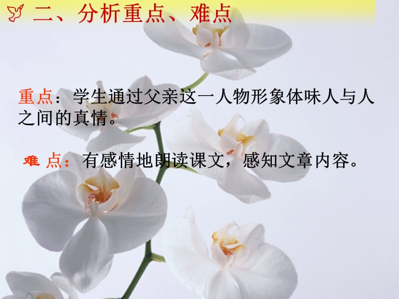 说课1课件.ppt_第3页