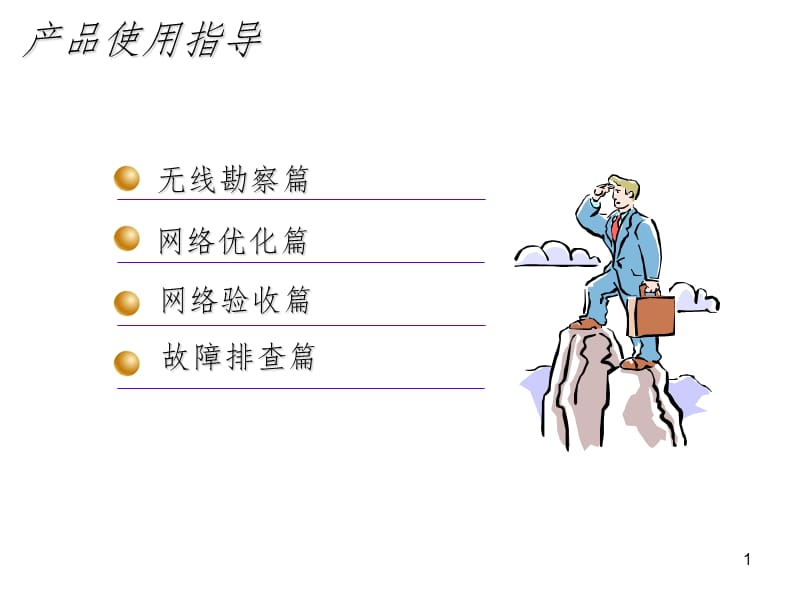 ZIT使用指导PPT课件.ppt_第1页