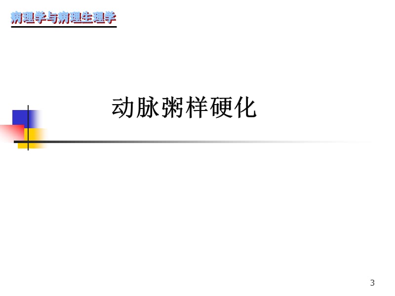 （推荐精选）心血管系统疾病.ppt_第3页