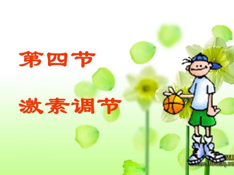 《激素调节》2.ppt_第1页