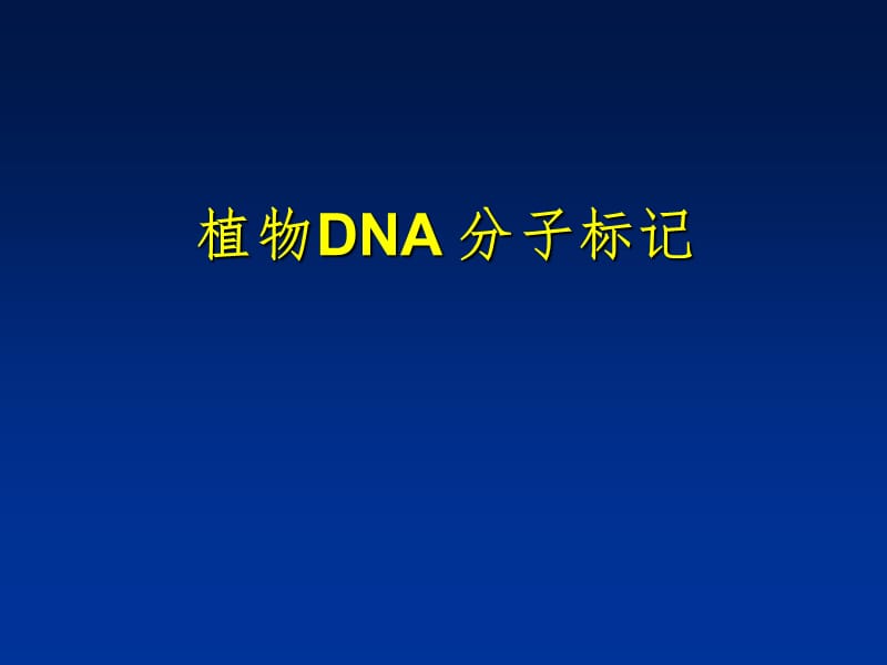 植物DNA分子标记PPT课件.ppt_第1页