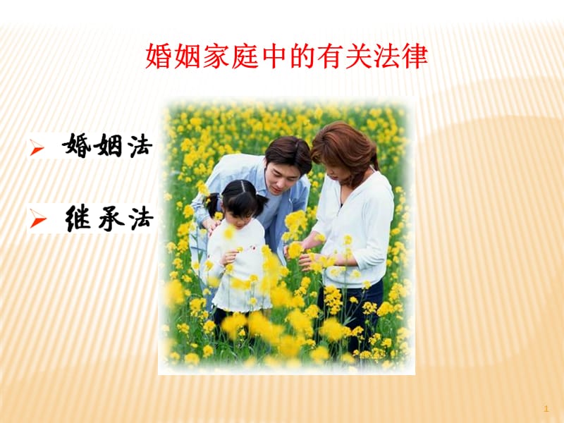 婚姻法与继承法(课堂PPT).ppt_第1页