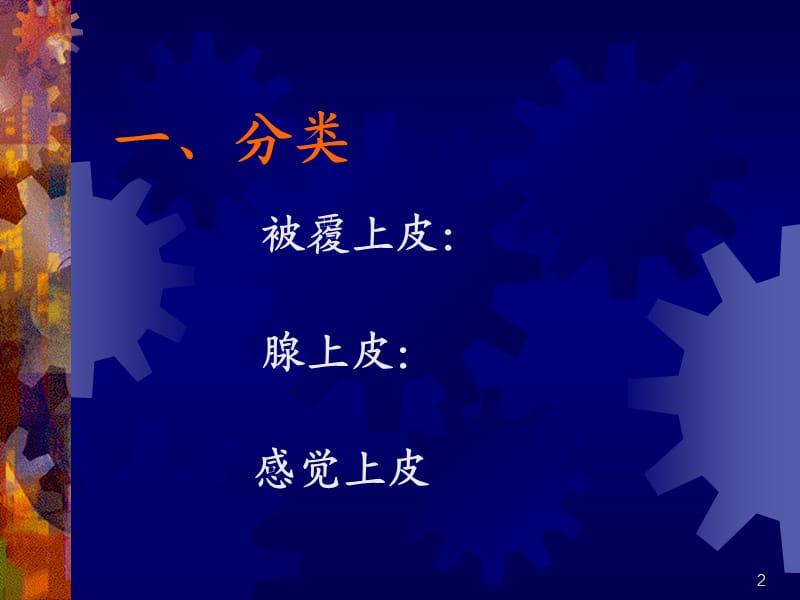 （推荐精选）B上皮组织.ppt_第2页