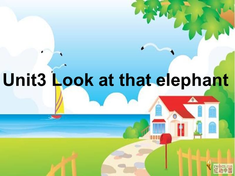 look_at_that_elephant.ppt_第1页