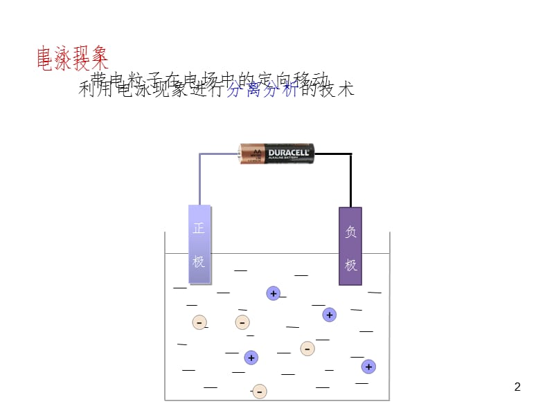 核酸分析技术OKPPT课件.ppt_第2页