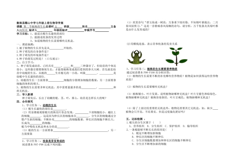 第二节植株的生长.doc_第1页