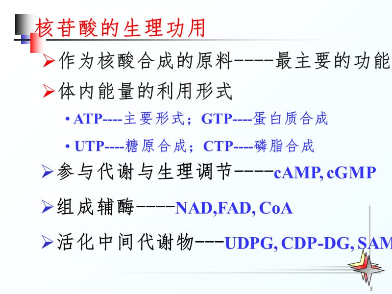 核苷酸代谢教学PPT课件.ppt_第3页