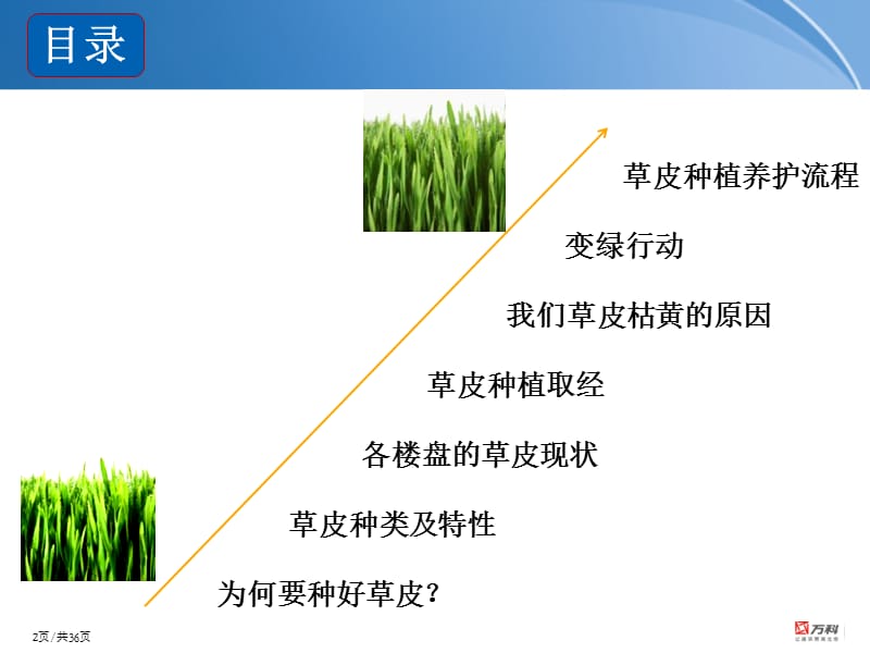 景观草皮种植总结精选文档.ppt_第2页