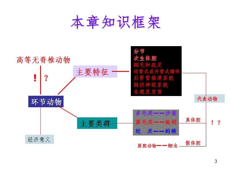 环节动物门PPT课件.ppt_第3页