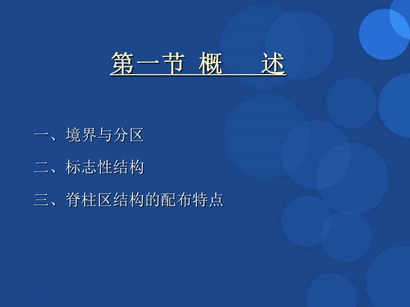 （推荐精选）脊柱断层影像解剖学.ppt_第3页