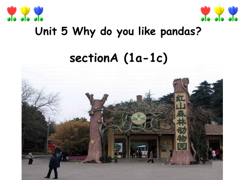 Unit5Whydoyoulikepandas.ppt_第1页