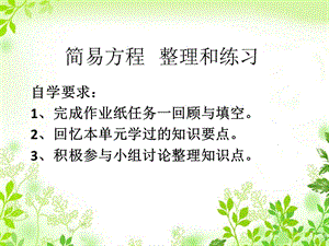 简易方程整理和练.pptx