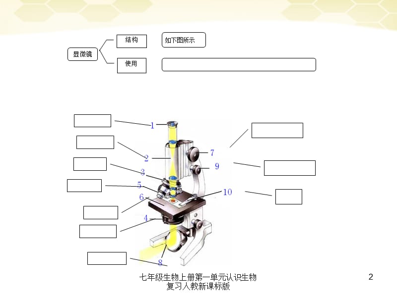 七年级生物上册第一单元认识生物复习人教新课标版课件.pptx_第2页