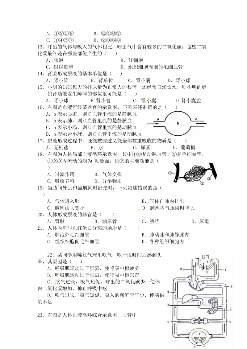 新冀教版生物下册第三章__健肺强肾__精力充沛练习题.doc_第2页