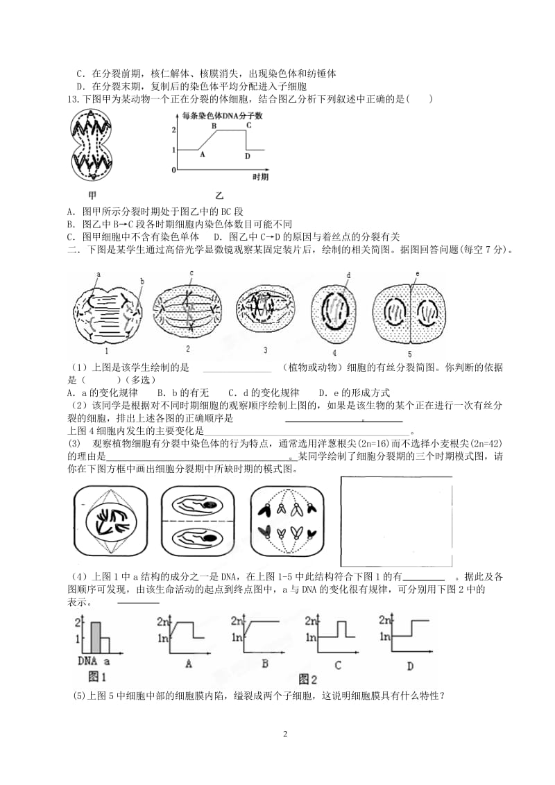 高一生物第6章细胞的生命历程单元测试题.doc_第2页