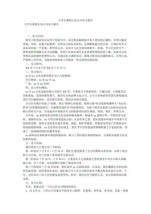 大学生暑假文化公司实习报告[优选稿].doc